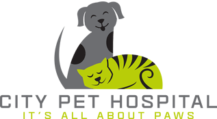 City Pet Hospital